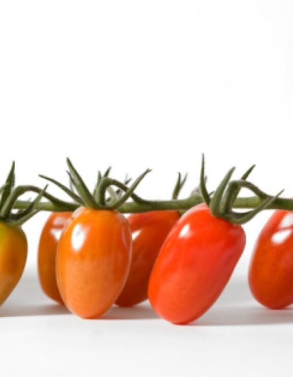 We grow fresh, organic produce using clean methods that protect nature, healthy food.