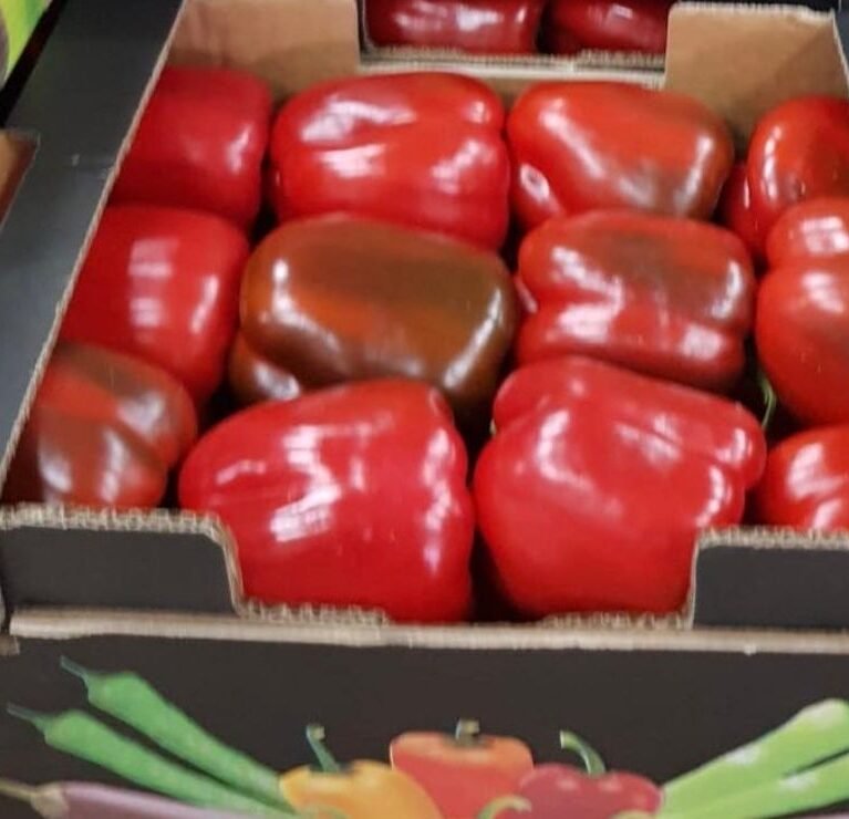 We grow fresh, organic produce using clean methods that protect nature, healthy food.