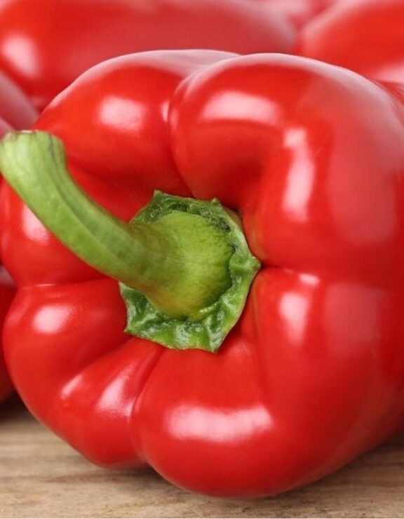 We grow fresh, organic produce using clean methods that protect nature, healthy food.