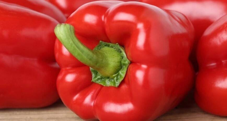 We grow fresh, organic produce using clean methods that protect nature, healthy food.