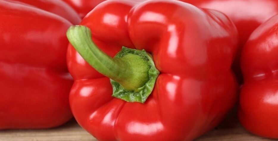 We grow fresh, organic produce using clean methods that protect nature, healthy food.