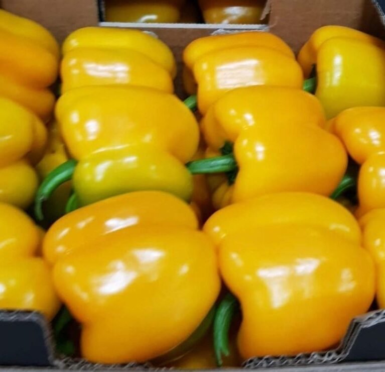 We grow fresh, organic produce using clean methods that protect nature, healthy food.