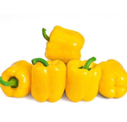 We grow fresh, organic produce using clean methods that protect nature, healthy food.