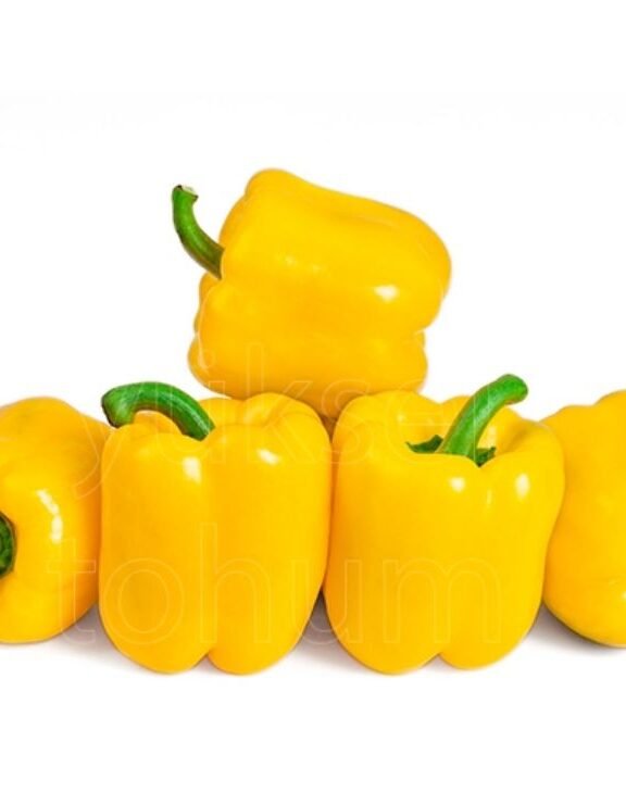 We grow fresh, organic produce using clean methods that protect nature, healthy food.