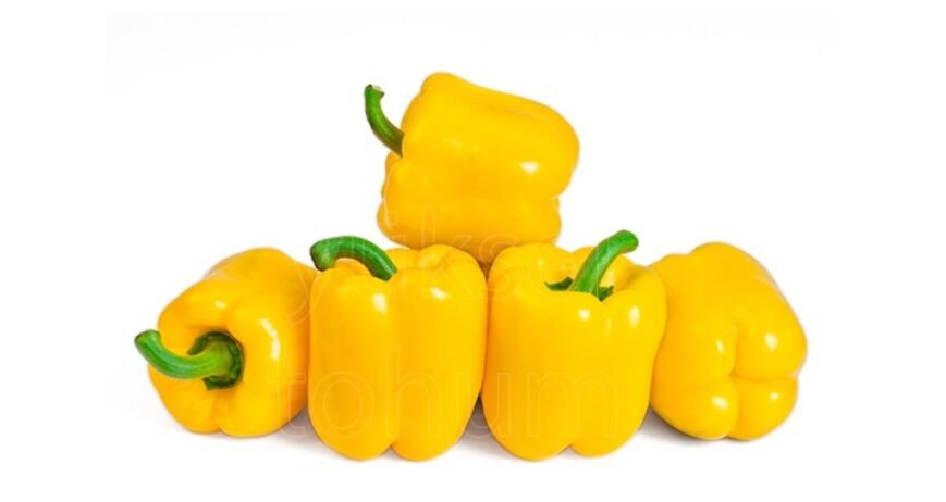 We grow fresh, organic produce using clean methods that protect nature, healthy food.