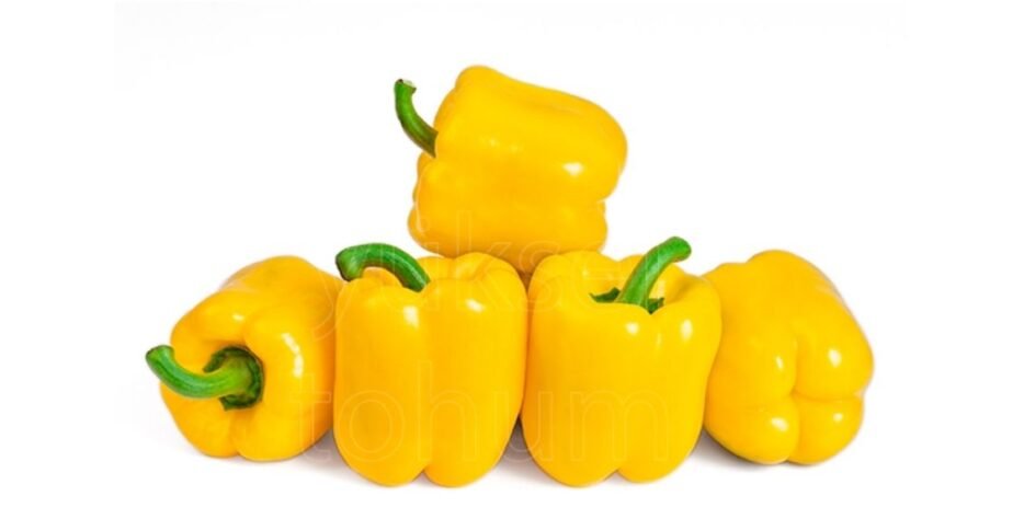 We grow fresh, organic produce using clean methods that protect nature, healthy food.