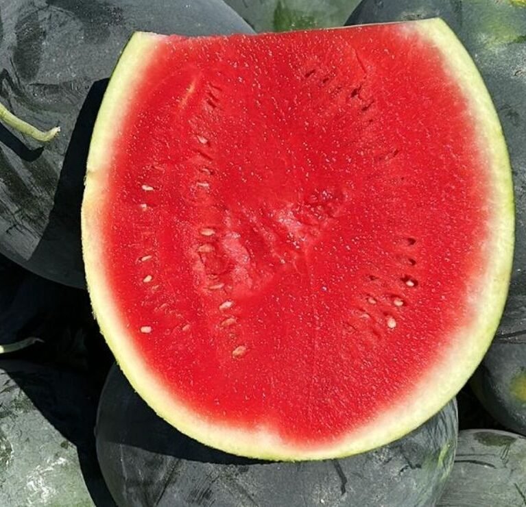 We grow fresh, organic produce using clean methods that protect nature, healthy food.