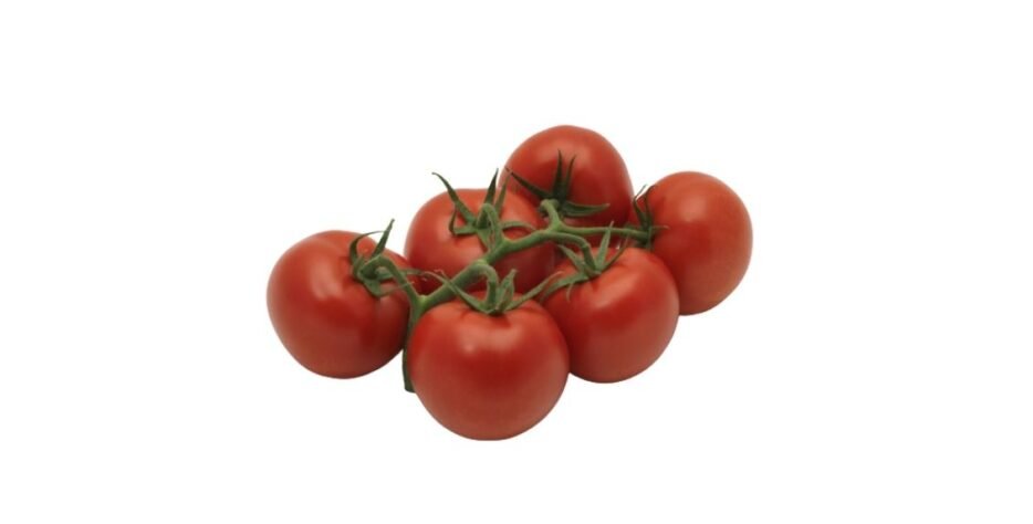 We grow fresh, organic produce using clean methods that protect nature, healthy food.