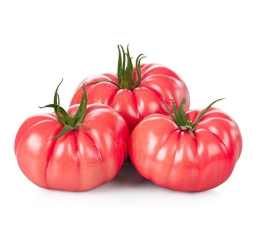 We grow fresh, organic produce using clean methods that protect nature, healthy food.