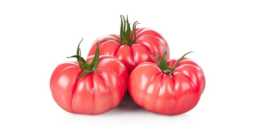 We grow fresh, organic produce using clean methods that protect nature, healthy food.