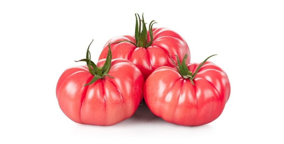 We grow fresh, organic produce using clean methods that protect nature, healthy food.