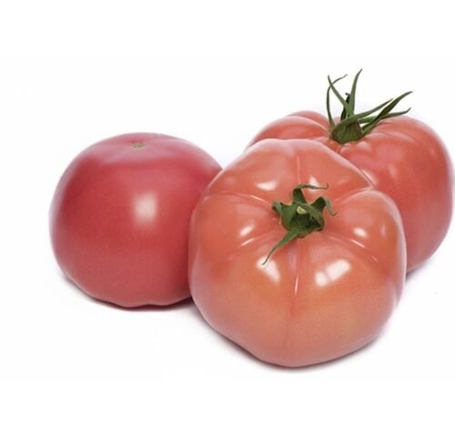 We grow fresh, organic produce using clean methods that protect nature, healthy food.