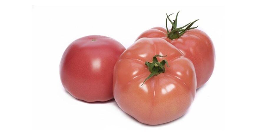 We grow fresh, organic produce using clean methods that protect nature, healthy food.