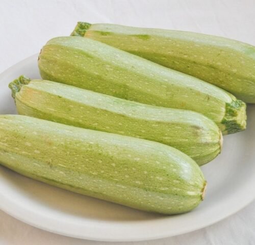 We grow fresh, organic produce using clean methods that protect nature, healthy food.