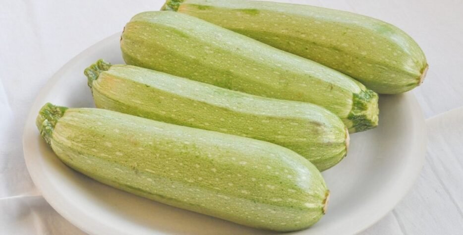 We grow fresh, organic produce using clean methods that protect nature, healthy food.