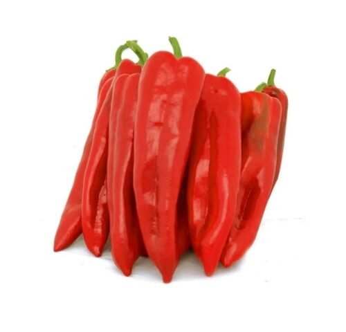 We grow fresh, organic produce using clean methods that protect nature, healthy food.