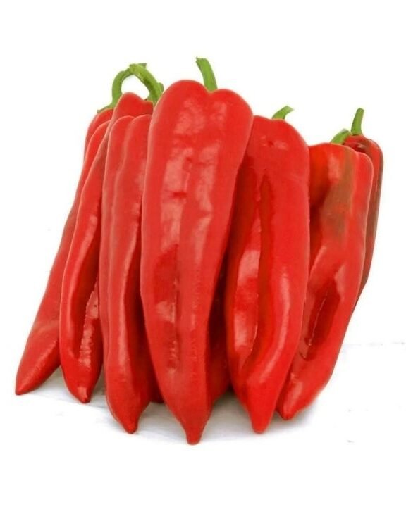 We grow fresh, organic produce using clean methods that protect nature, healthy food.