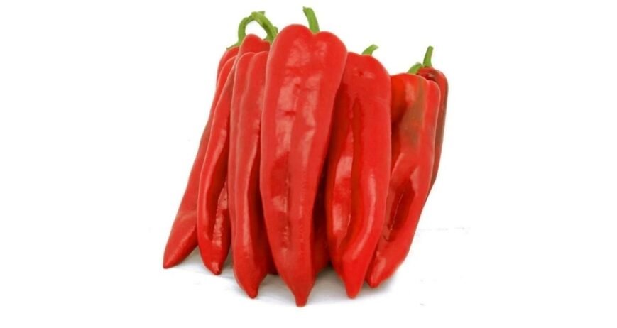 We grow fresh, organic produce using clean methods that protect nature, healthy food.