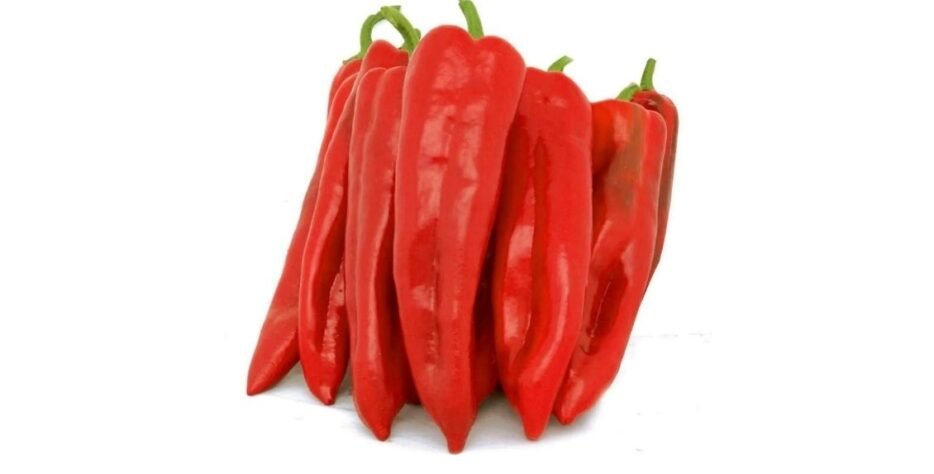 We grow fresh, organic produce using clean methods that protect nature, healthy food.