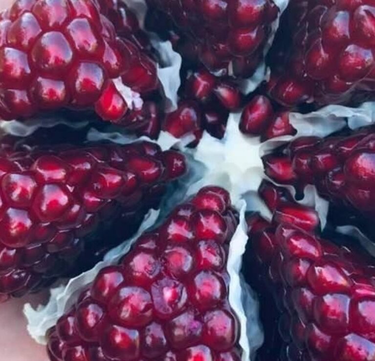 We grow fresh, organic produce using clean methods that protect nature, healthy food.