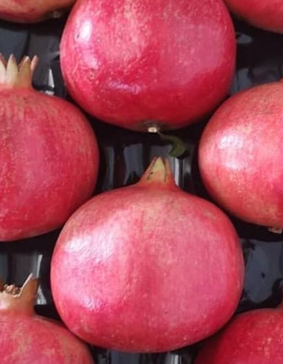 We grow fresh, organic produce using clean methods that protect nature, healthy food.