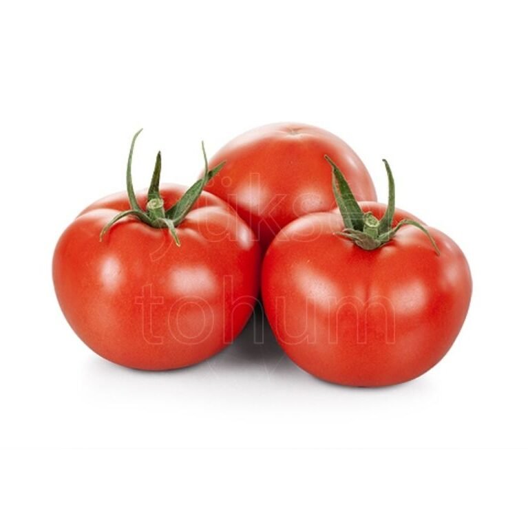 We grow fresh, organic produce using clean methods that protect nature, healthy food.