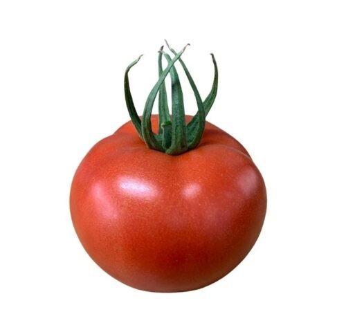 We grow fresh, organic produce using clean methods that protect nature, healthy food.