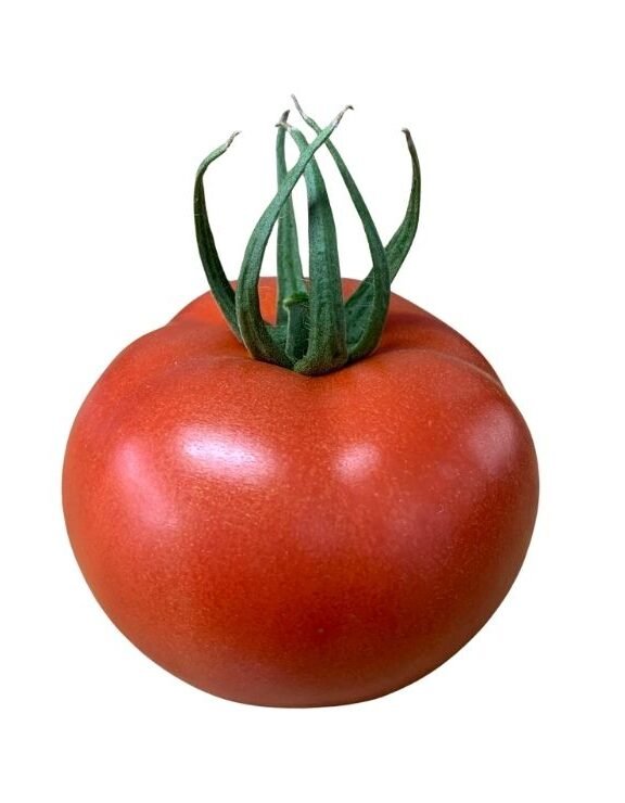 We grow fresh, organic produce using clean methods that protect nature, healthy food.