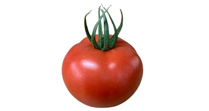 We grow fresh, organic produce using clean methods that protect nature, healthy food.