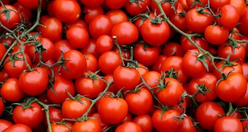 Domatesin Renkli Dünyası: Antioksidanlar ve Sağlık Etkileri