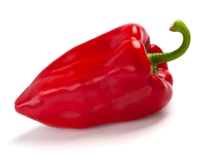 Natur ihracat kalitesinde taze kırmızı kapya biberi, Türkiye'de aşılı biber yetiştiriciliği ve yüksek verim.