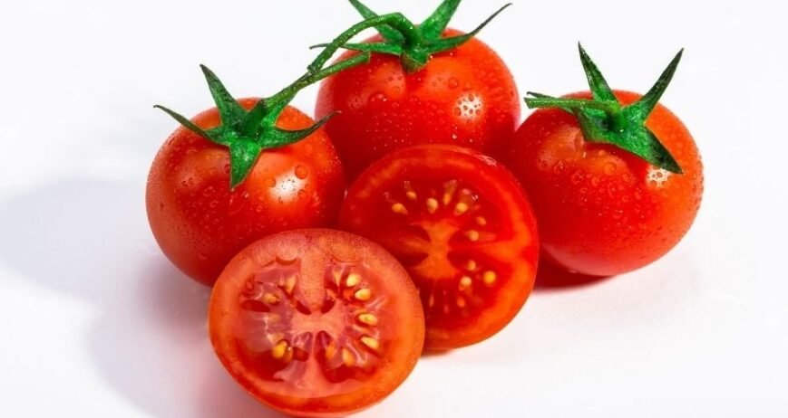 Natur ihracat kalitesinde taze salkım domatesler, antikanser etkili yüksek likopenli kırmızı domates.