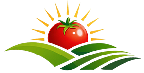 Natur Yaş Sebze ve Meyve İhracat | Domates