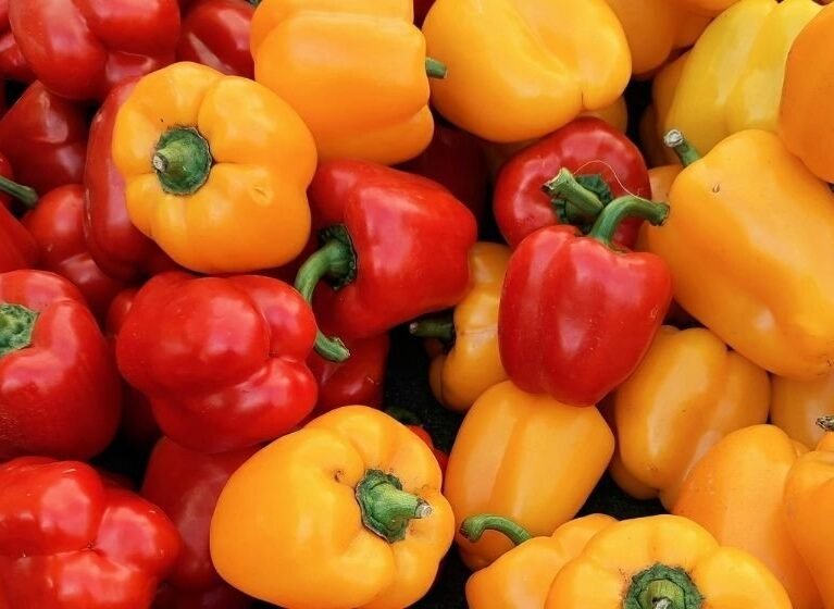 Natur taze sarı ve kırmızı Kaliforniya biberleri, ihracat kalitesinde dolmalık biber çeşitleri.