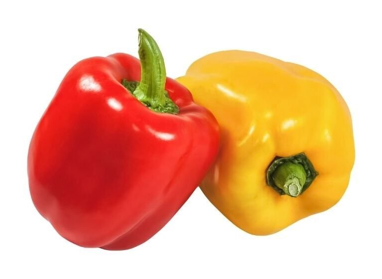 Natur taze sarı ve kırmızı Kaliforniya biberi, yüksek vitaminli dolmalık biber ihracatı.