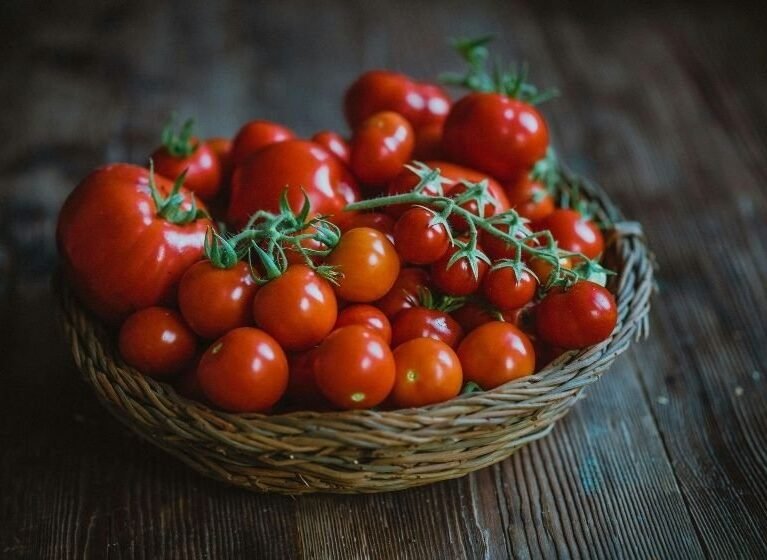 Natur ihracat kalitesinde taze salkım domatesler, likopen deposu kırmızı domates sepeti.