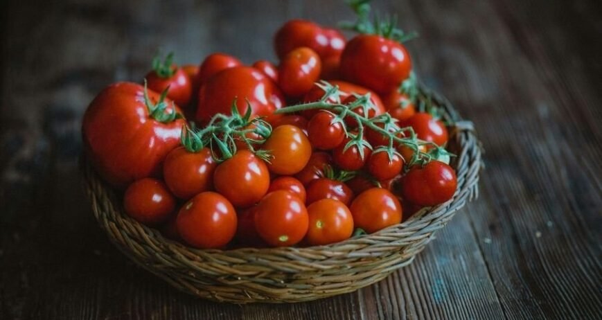 Natur ihracat kalitesinde taze salkım domatesler, likopen deposu kırmızı domates sepeti.