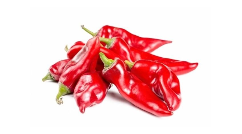 Natur taze kırmızı kapya biberi, yüksek C vitamini içeren sağlıklı sebze ihracatı.
