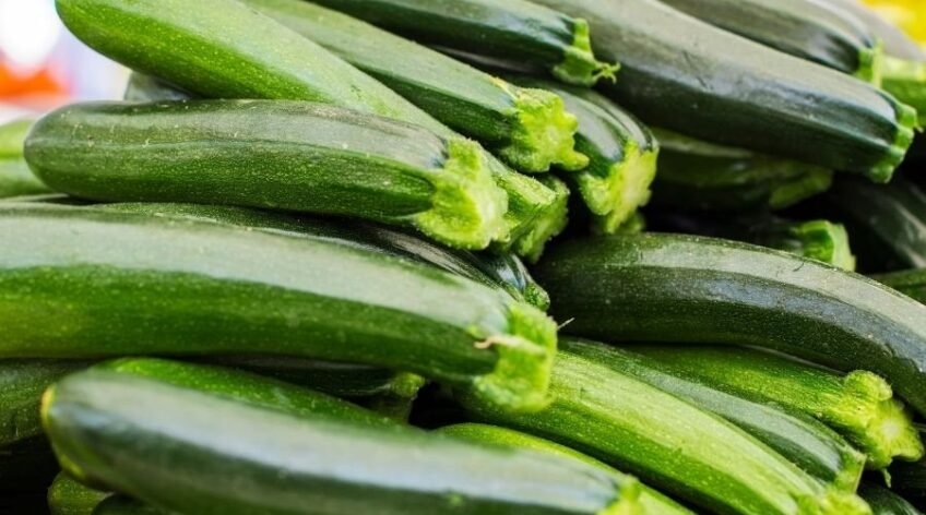 İhracat için hazırlanmış taze siyah kabak yığını, kaliteli yaş meyve sebze tedariki Natur.