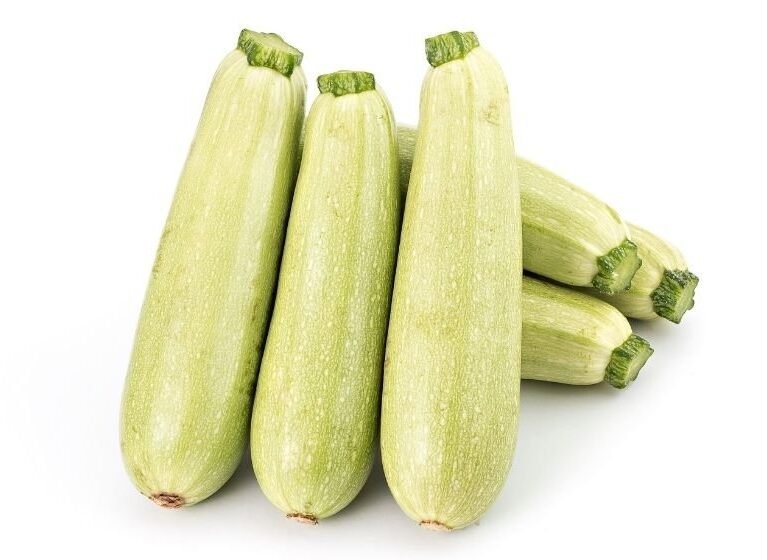 Besin değeri yüksek taze açık yeşil kabak demeti, organik tarım Natur kabak üretimi.